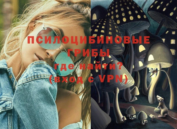 спайс Богородск