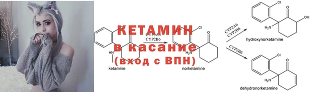 амф Богородицк